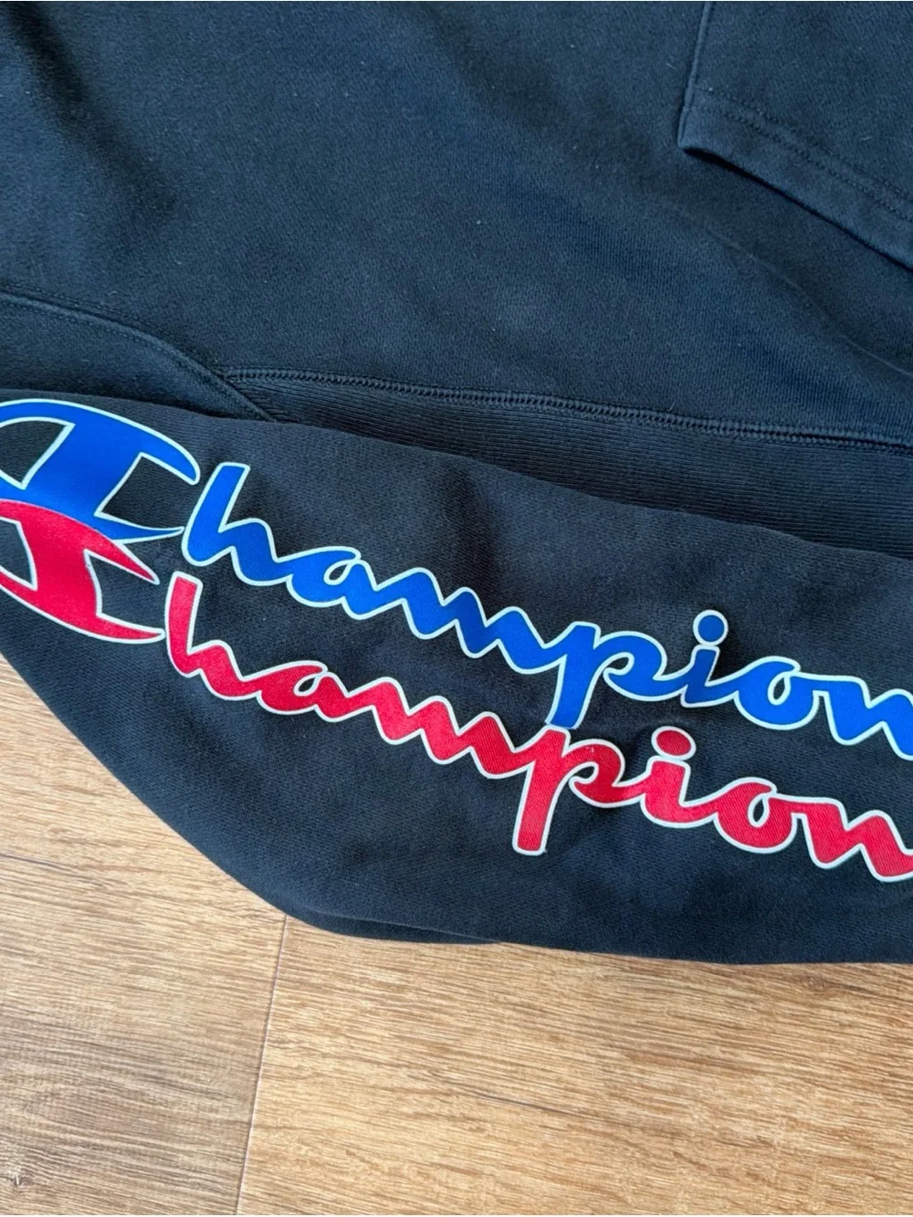 Champion Reverse Weave Hoodie Mens M Pullover Y2K Thick Heavyweight Streetwear